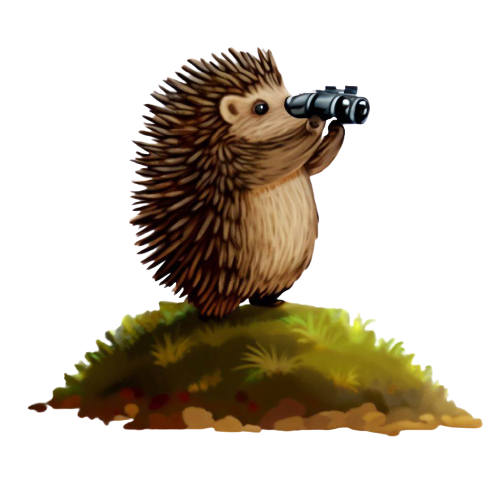 hoggo the hedgehog looking to the distance