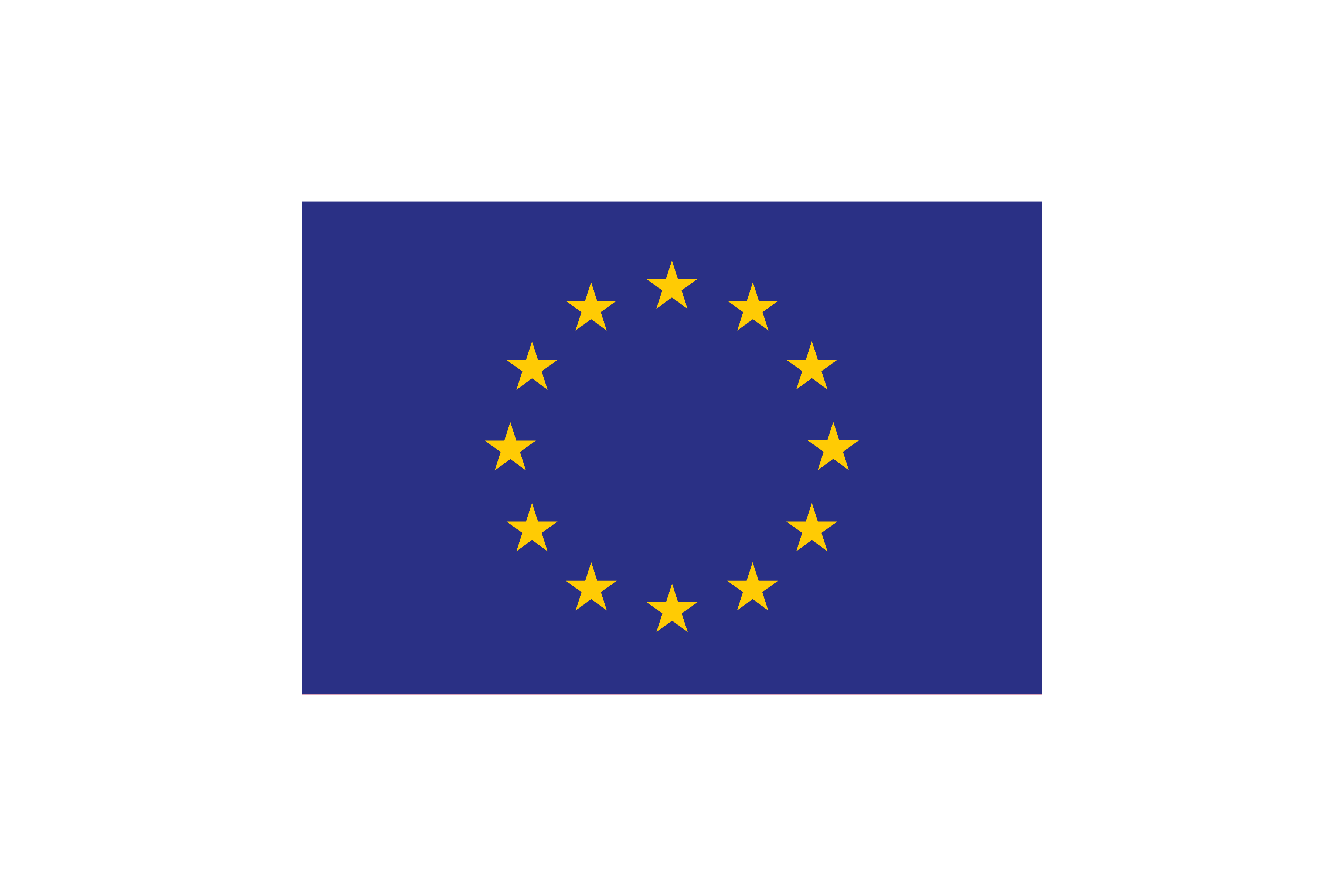 European union flag